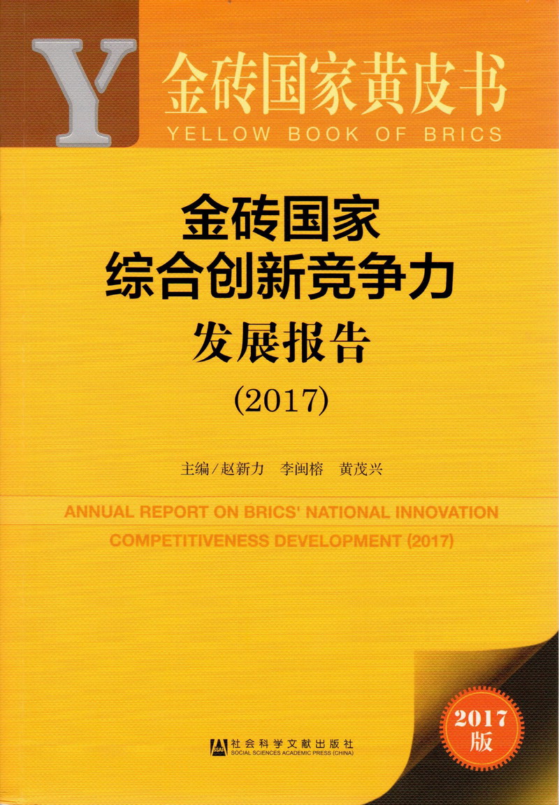 女人被操逼视频网站金砖国家综合创新竞争力发展报告（2017）